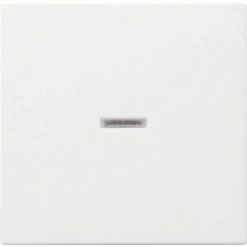 Gira Wippe Mit Kalotte, System 55, Reinweiß Matt Kalotte Gira Wippe Gira 4010337290278 Kalotte 4010337290278