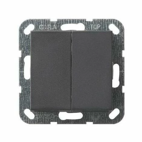 GIRA Serienschalter TS Anth System 55 UP IP20 2f 12528