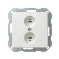 GIRA Einsatz LS 2f System 55 Rws Glz Krallen/Schraubbef 40203