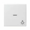 GIRA Kontrollwippe Schalter System 55 Rws Glz Symbol Licht 67403