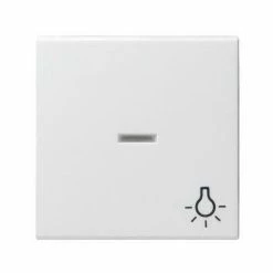 GIRA Kontrollwippe Schalter System 55 Rws Glz Symbol Licht 67403