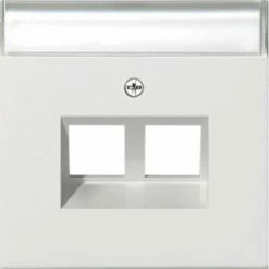 Gira ABDECK.BSF MODULAR JACK 30° 2F (2640112 FLÄCHE RWS)