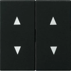 Gira WIPPE 2F PFEILSYMBOLE SW M (1150005 SYST.55)