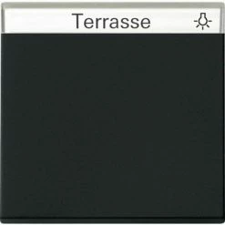 Gira WIPPE BSF SW MATT (0299005 SYST.55)