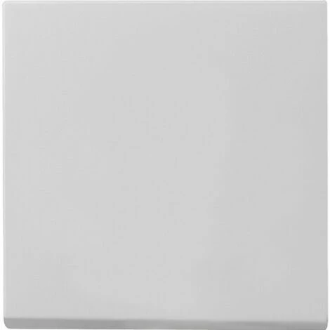 GIRA Wippe Für Wippschalter Und Wipptaster System 55