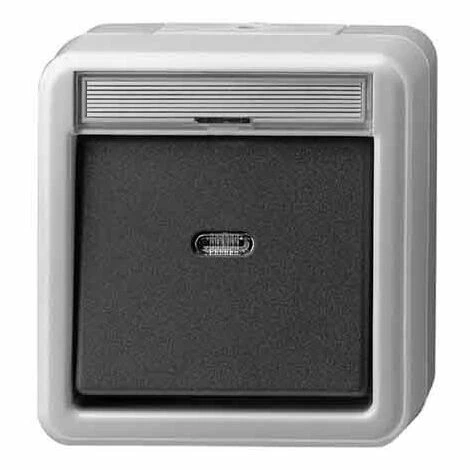 GIRA WIPPSCHALTER 011230 AUS 2-POL KONTROLL WG AP GRAU, 250 V