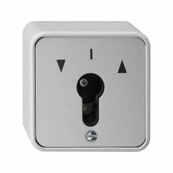 GIRA AP/WD SCHLSSELTASTER 0163 30
