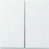 GIRA 0128112 DRUCKSCHALTER 10 A 250 V~ MIT DOPPELGRIFFEN 2-WEGE DOPPEL FLÄCHENHALTER WEISS