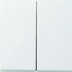 GIRA 0128112 DRUCKSCHALTER 10 A 250 V~ MIT DOPPELGRIFFEN 2-WEGE DOPPEL FLÄCHENHALTER WEISS