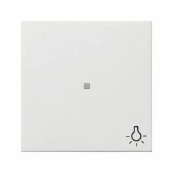GIRA 0674112 WIPPE KONTROLL SYMBOL LICHT FL CHENSCHALTER REINWEI