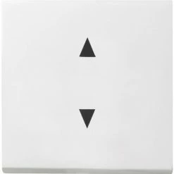 Gira Wippe Rws/gl 861603