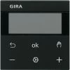 Gira S3000 RTR DISPLAY SYS55 SW M (SYSTEM 55)