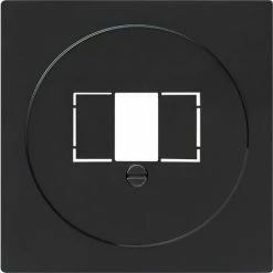 Gira Zentralplatte TAE Sw 027647