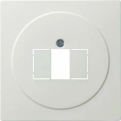 Gira Zentralplatte TAE Rws 027640