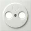Gira Zentralplatte Antenne Rws 086940