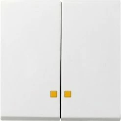 Gira Wippe Serienschalt. Rws/gl 063103