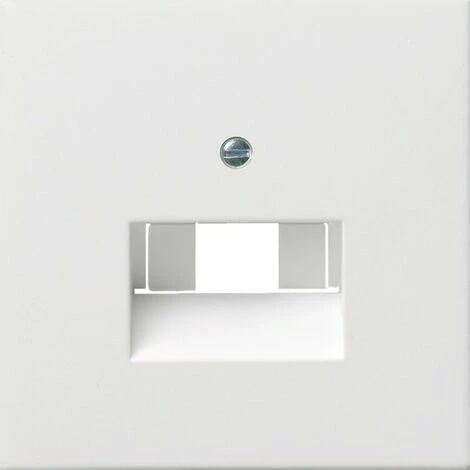 Gira Zentralplatte UAE/IAE 0270112