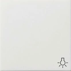 Gira Wippe Licht Rws/gl 0285112