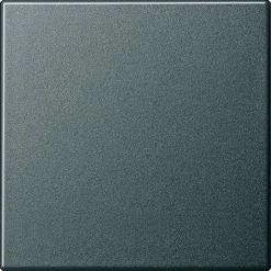 Gira Wippe Wechselsch. Anth 029628