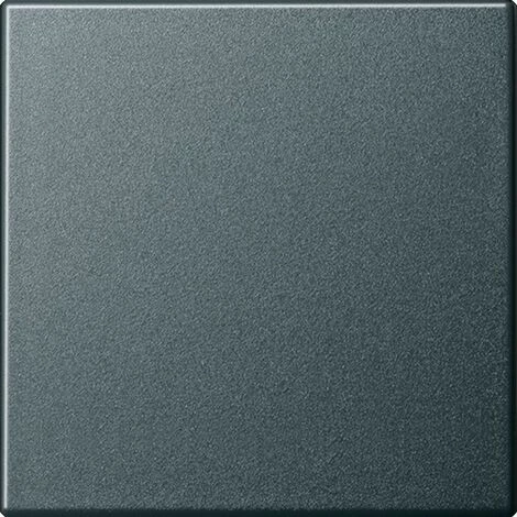 Gira Wippe Wechselsch. Anth 029628