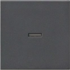 Gira Wippe Anth 029028