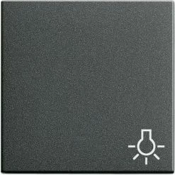 Gira Wippe Licht Anth 028528