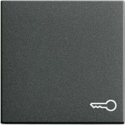 Gira Wippe Tür Anth 028728