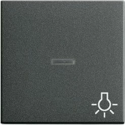 Gira Wippe Licht Anth 067428