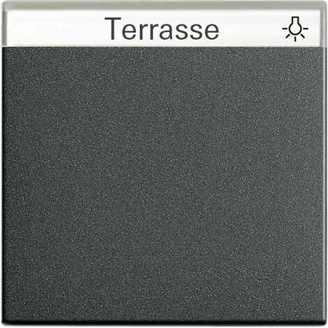 Gira Wippe Wechselsch. Anth 029928