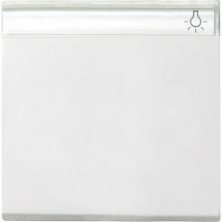 Gira Wippe Wechselsch. Rws-gl 029903