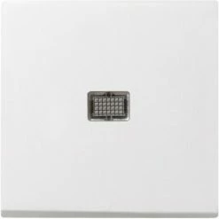 Gira Wippe Rws-gl 029803