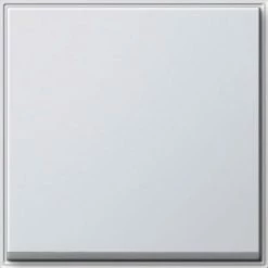 Gira Wippe Wechselsch. Rws 029666