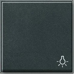 Gira Wippe Licht Anth 028567