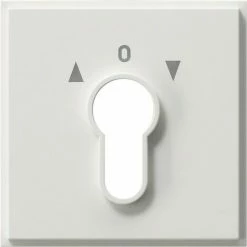 Gira Zentralpl. Schlüssel. Rws 066466