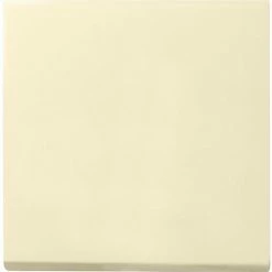 Gira Wippe Wechselsch. Cws-gl 029601