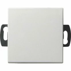 Gira Wipptaster O.Linse Rws-gl 013803