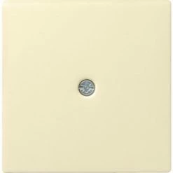 Gira Zentraleinsatz Cws-gl 027401