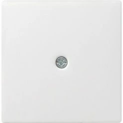 Gira Zentraleinsatz Rws-gl 027403