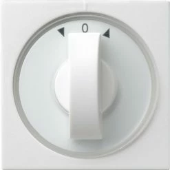 Gira Zentralplatte Rws-gl 066603