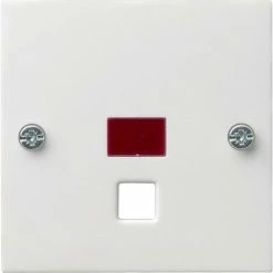 Gira Zentraleinsatz Rws-gl 063803