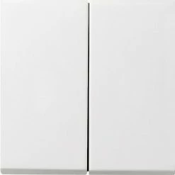 Gira Tast-Serienschalter Rws-gl 0125112