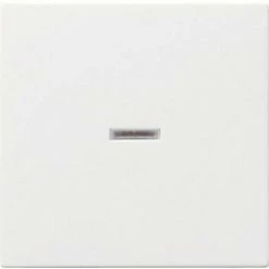 GIRA Abdeckung Kontrollschalter System 55, Standard 55, E2, Event, Event Klar, Event Opak, Esprit,